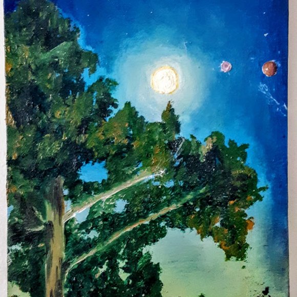 Meet your Posher, Miss sarah - Picture 6 of 8